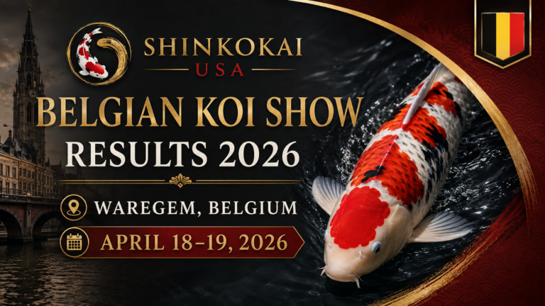 Belgain Koi Show Results