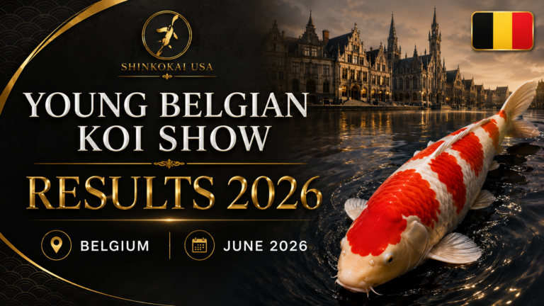 Young Belgian Koi Show Results